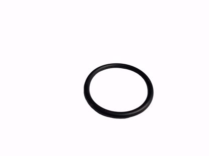 Picture of O Ring