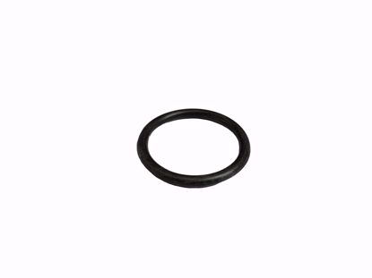 Picture of O Ring